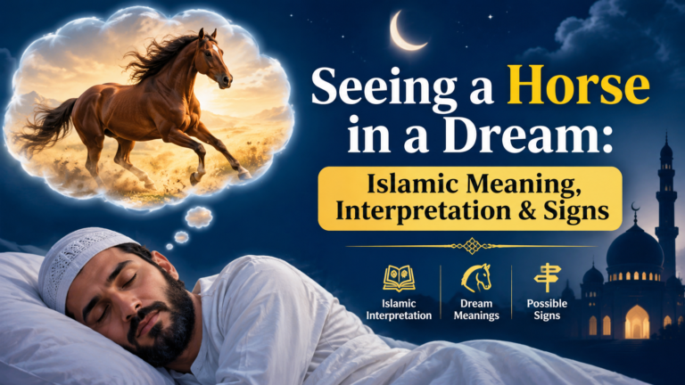 Seeing a Horse in a Dream Islamic Meaning, Interpretation & Signs