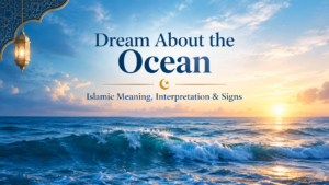 Dream About the Ocean Islamic Meaning, Interpretation & Signs